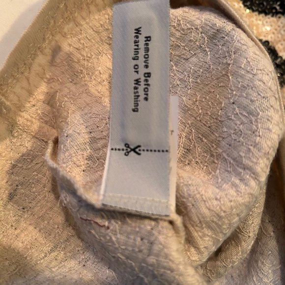 JCrew sequin striped mini dress - Picture 10 of 12